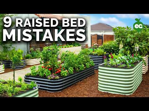 Thumbnail for 9 Beginner Raised Bed Garden Mistakes to Avoid