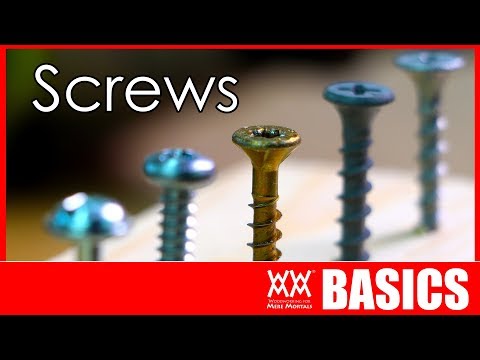 Thumbnail for What kind of screw should I use? Woodworking Basics