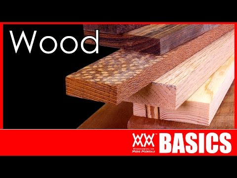 Thumbnail for What Kind of Wood Should You Build With? | WOODWORKING BASICS